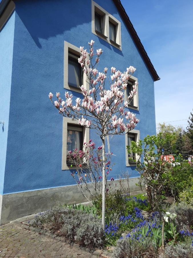 Apartamento Kunstoase Am Blauen Haus Dresde Exterior foto